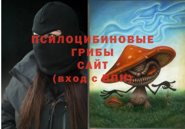 МДПВ Лихославль
