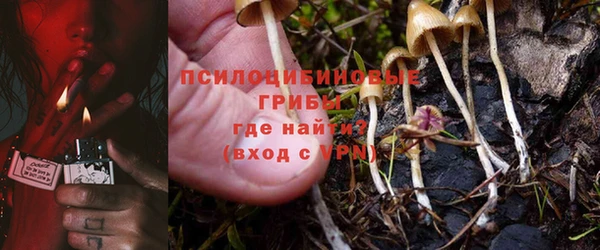 ГАЛЛЮЦИНОГЕННЫЕ ГРИБЫ Липки
