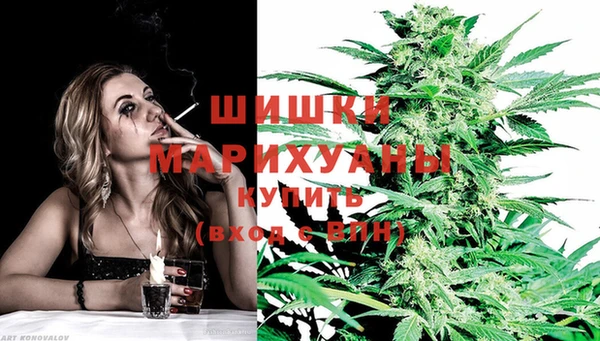 ГАЛЛЮЦИНОГЕННЫЕ ГРИБЫ Липки