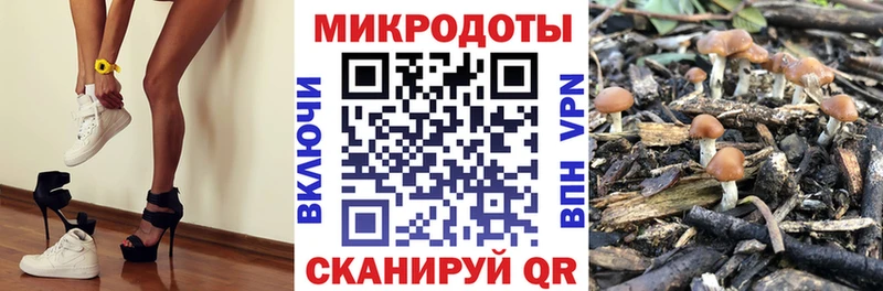 Галлюциногенные грибы прущие грибы Сергач